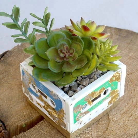 f53cd22bbbe4a977e6e5e42e83dac0fc (1)